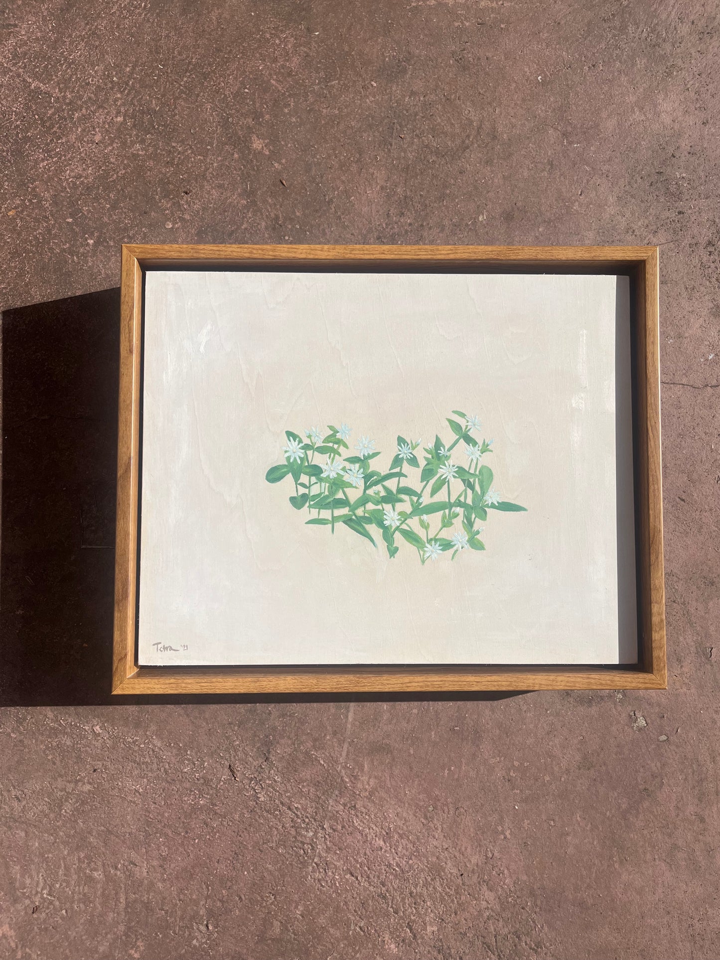 An Ode to TN Oxalis - Framed