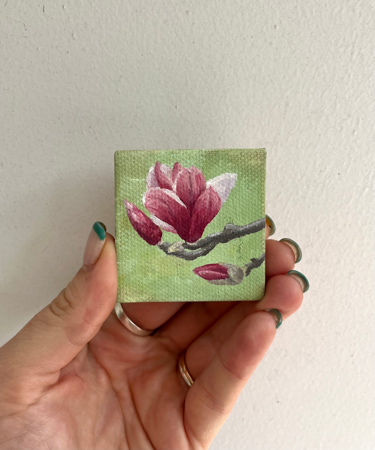 Tiny Japanese Magnolia