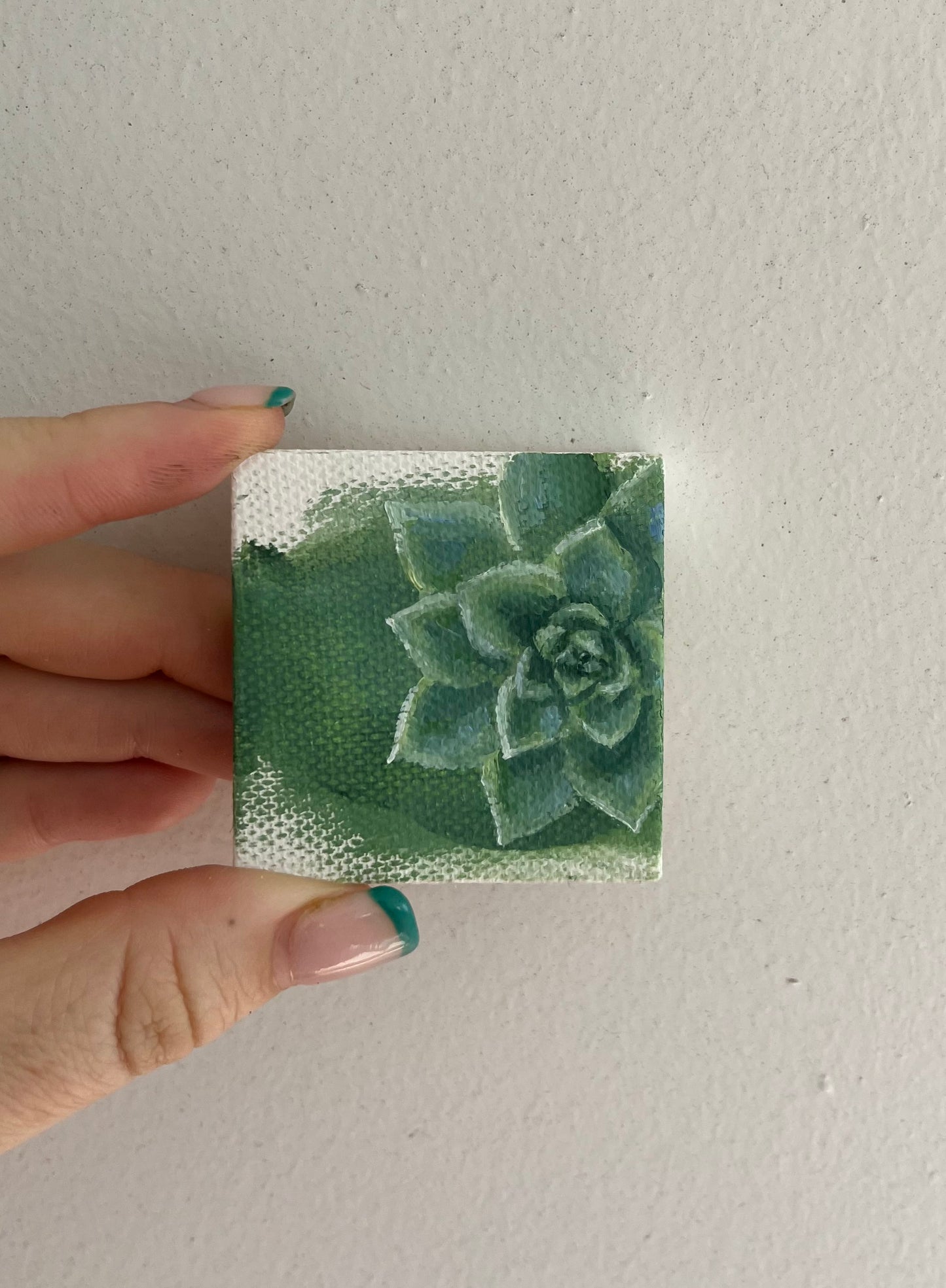 Tiny Succulent