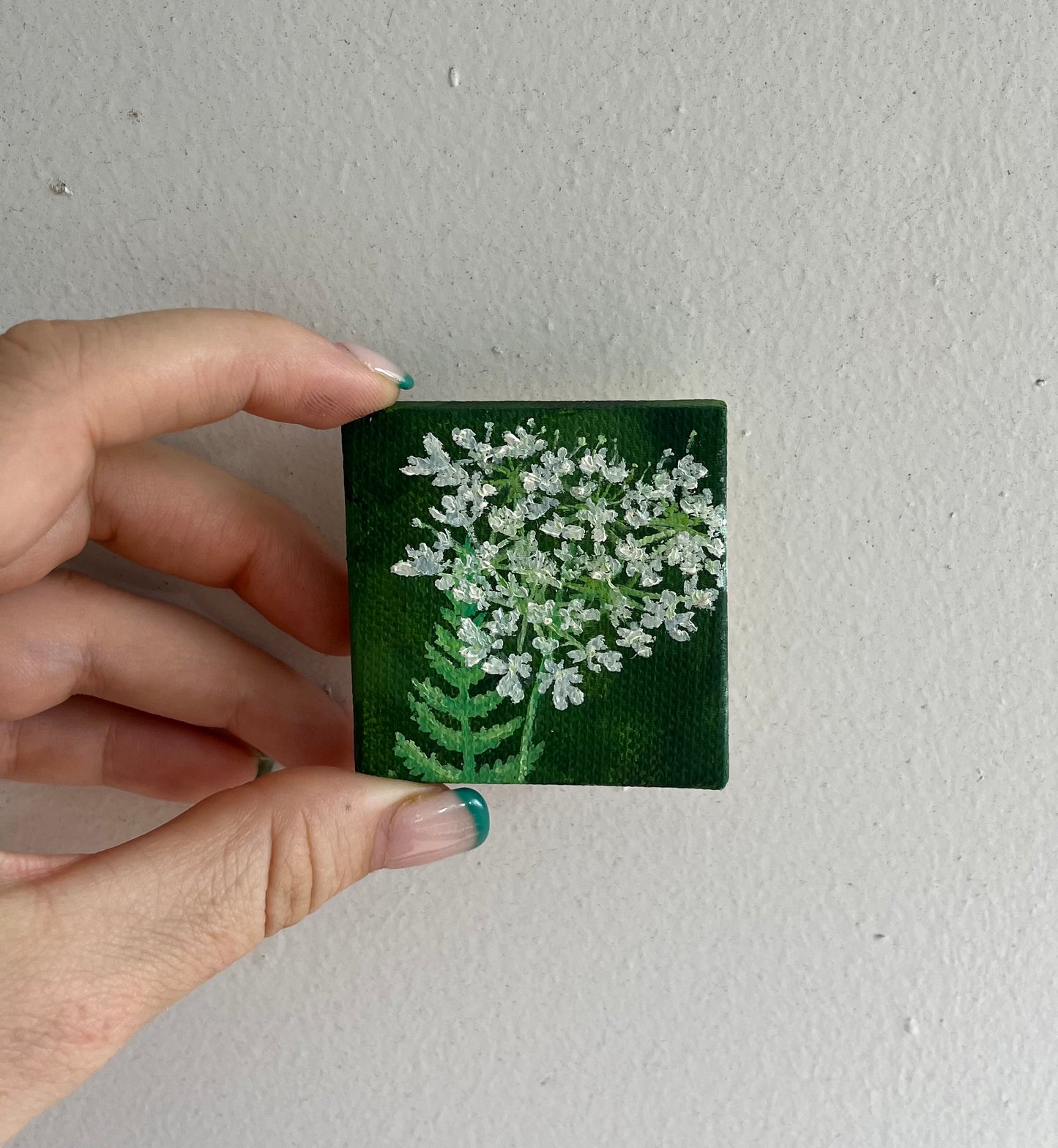 Tiny Queen Anne’s Lace