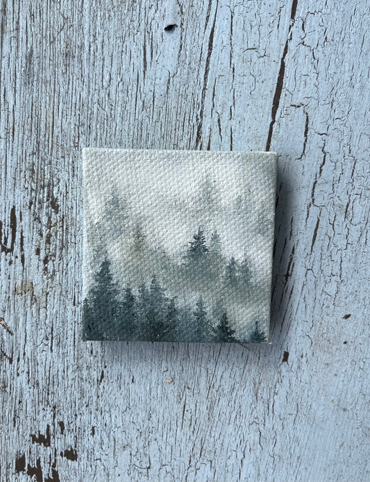 Tiny Foggy Forrest