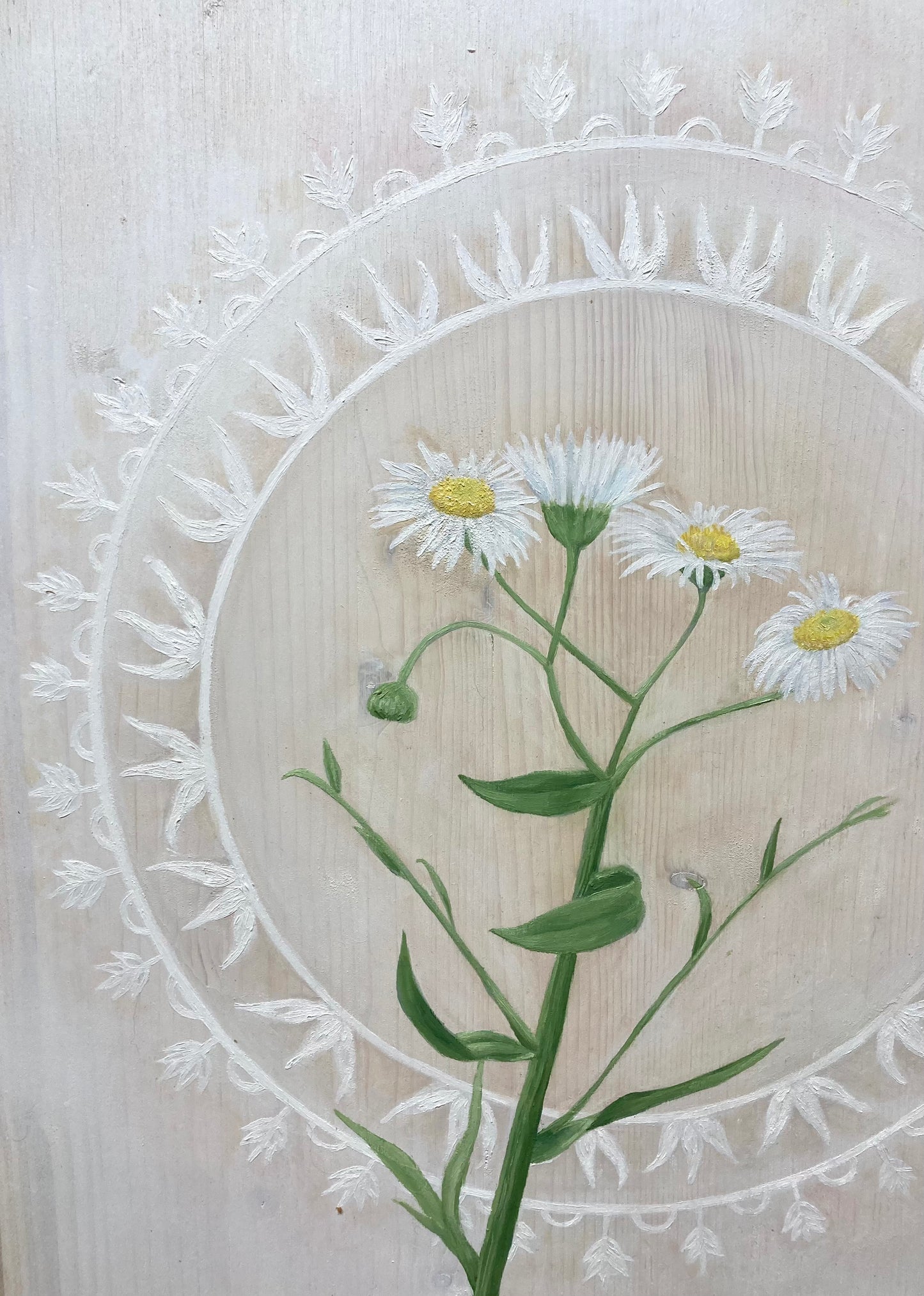 Portrait of a Daisy Fleabane - Framed