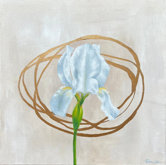 White Iris