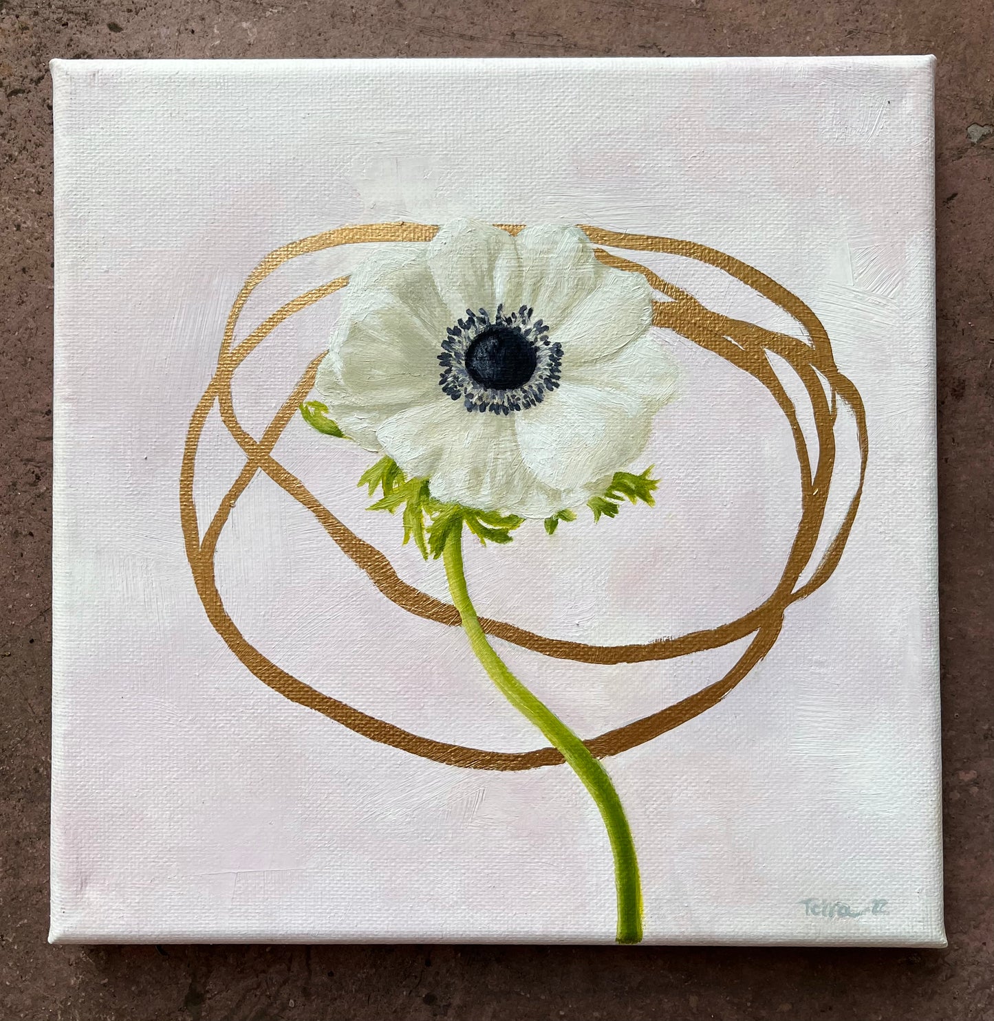 Anemone Flower