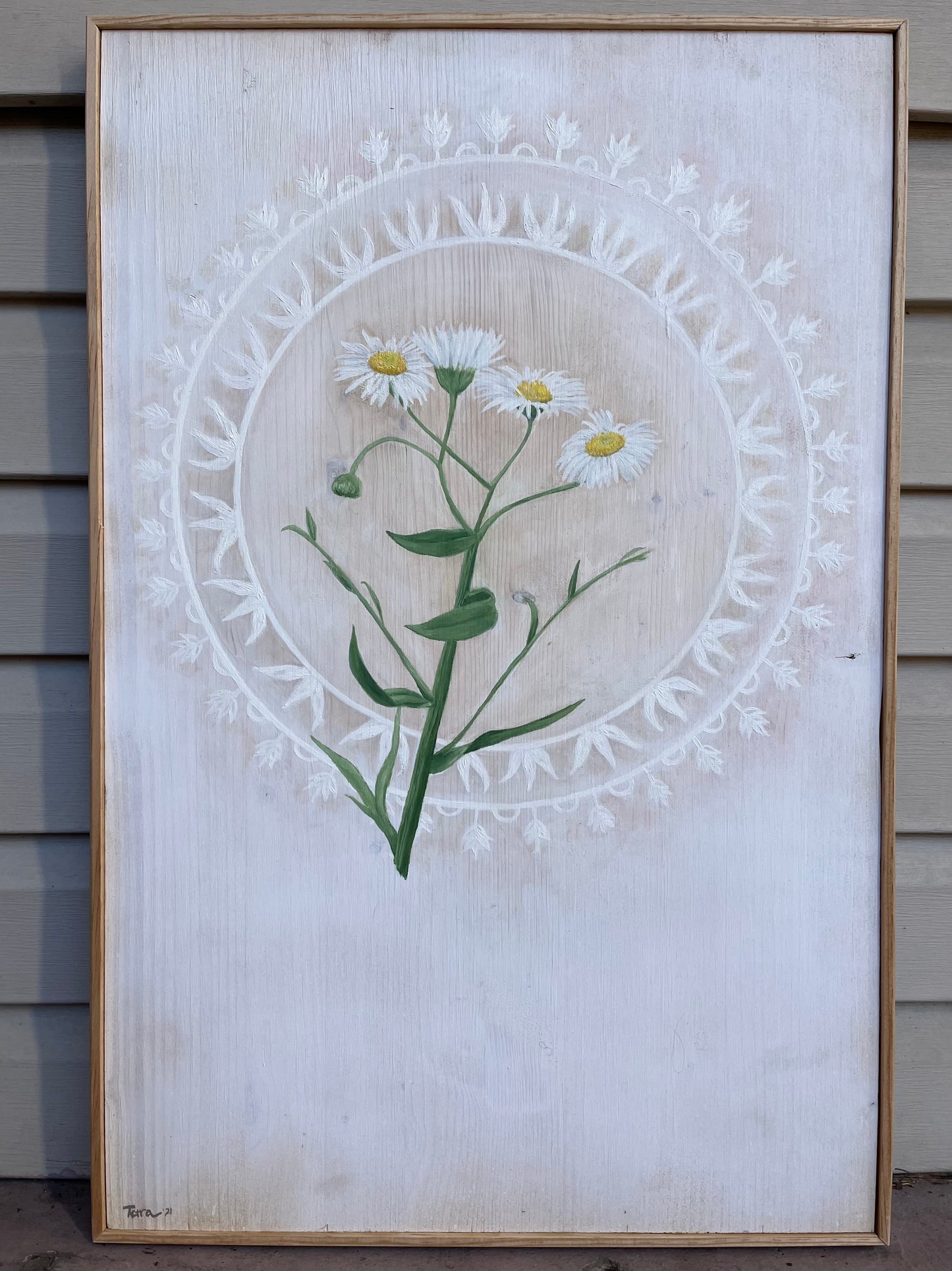 Portrait of a Daisy Fleabane - Framed