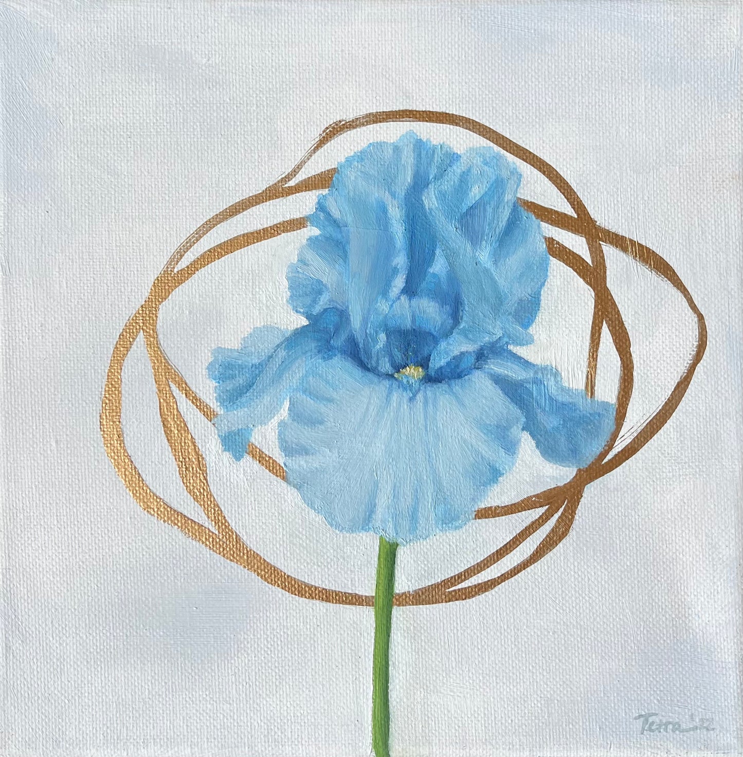 Blue Iris